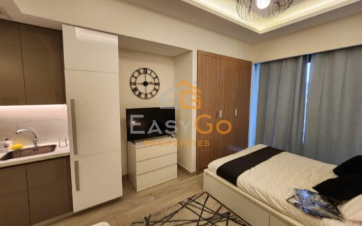 مفروش | استوديو | إطلالة على الشارع | شاغر