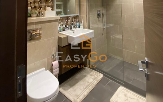 إطلالة على المجتمع | شاغرة | شقة استوديو