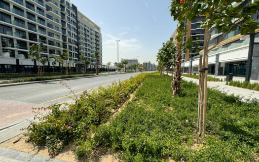 جديد تمامًا | شل إن كور | بوليفارد فيو