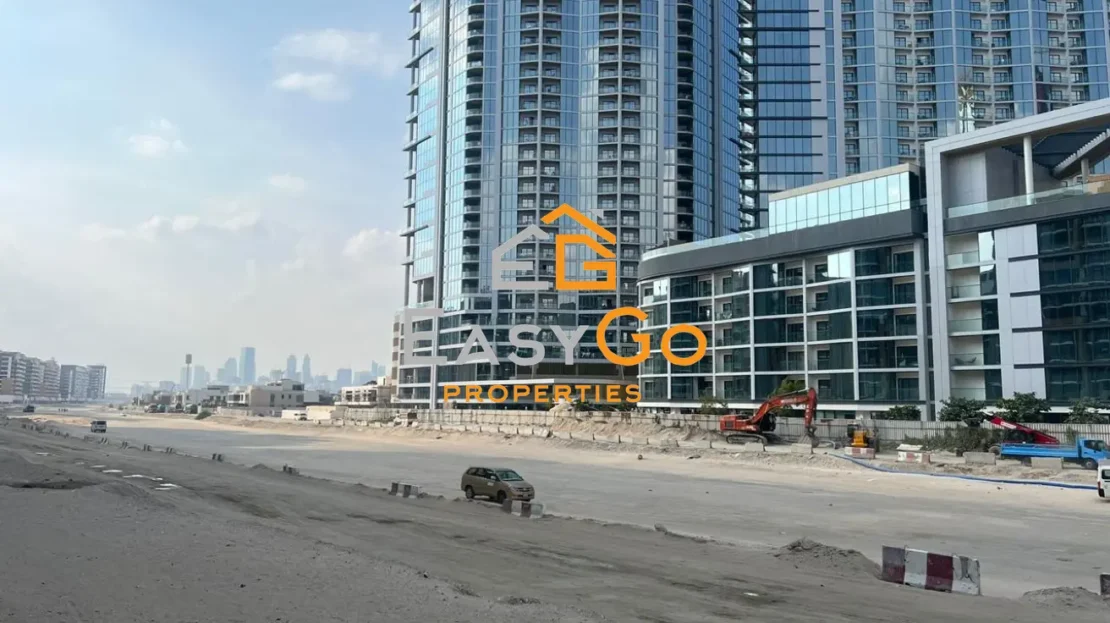 video image