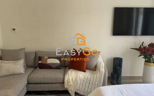 Apartment for rent in AZIZI Riviera, Meydan One