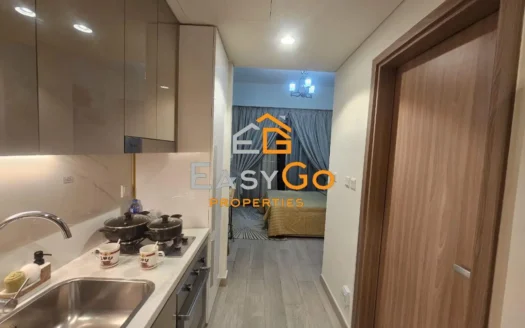 Apartment for rent in AZIZI Riviera, Meydan One