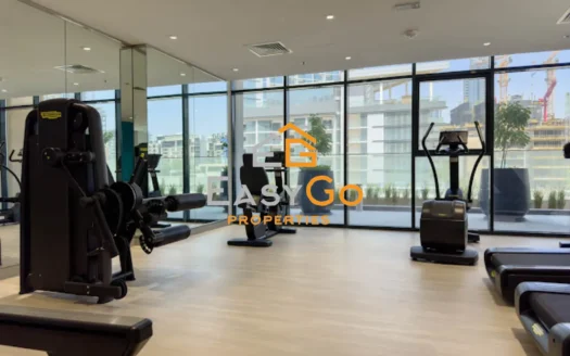 Apartment for rent in AZIZI Riviera, Meydan One