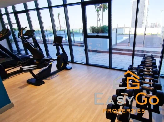 Apartment for rent in AZIZI Riviera, Meydan One